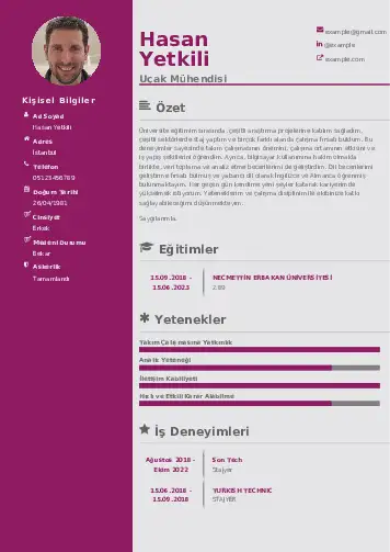 Havacılık Ve Uzay Uçak Mühendisi Cv Örnekleri cv indir